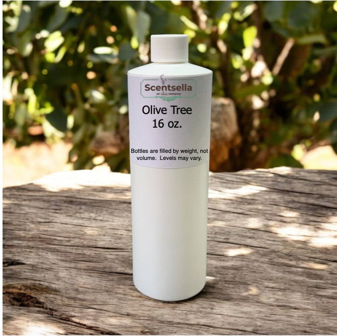 Olive Tree