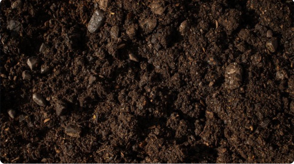 Dirt