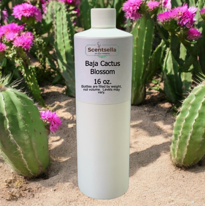 Baja Cactus Blossom
