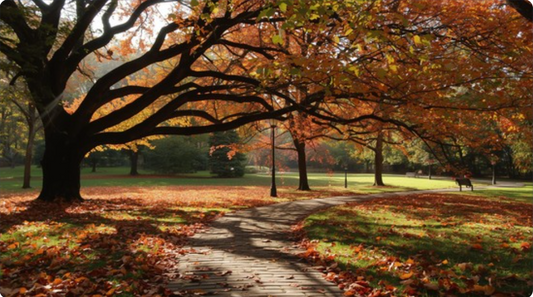 Autumn In The Park Type