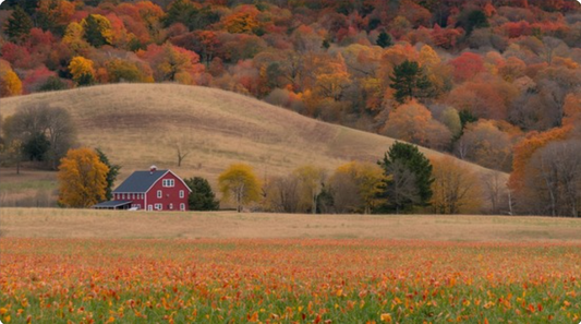 Fall Farmhouse