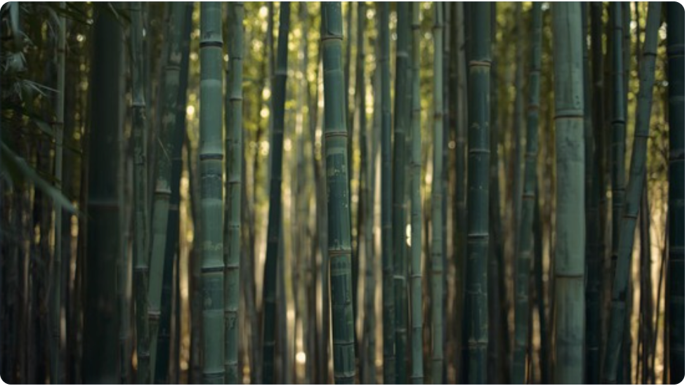Fresh Bamboo